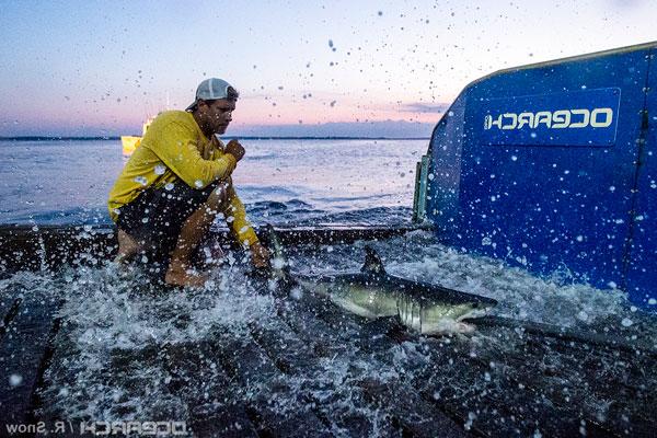 OCEARCH